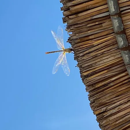 Afros Lux 201 公寓