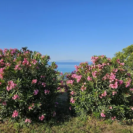 Afros Lux 201 Nea Kallikrateia