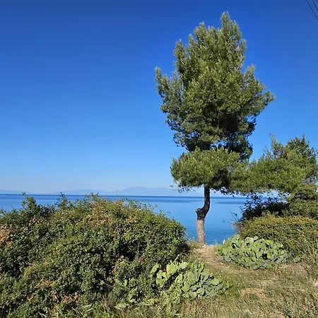 Afros Lux 201 公寓 *