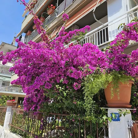 Afros Lux 201 公寓 Nea Kallikrateia