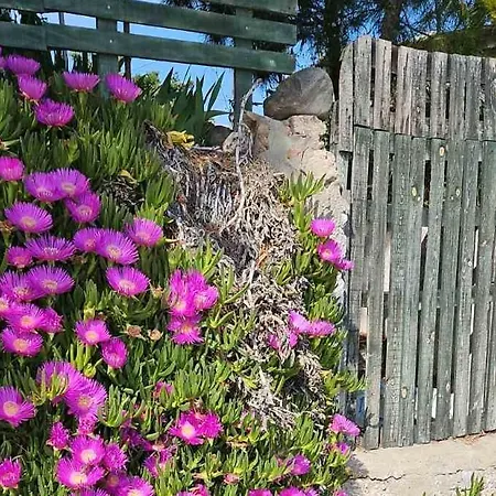 Afros Lux 201 Apartment *