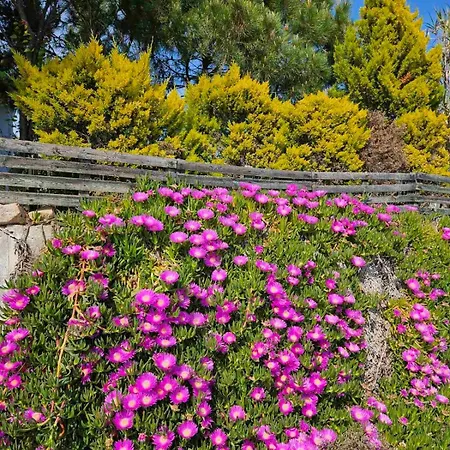 Afros Lux 201 公寓